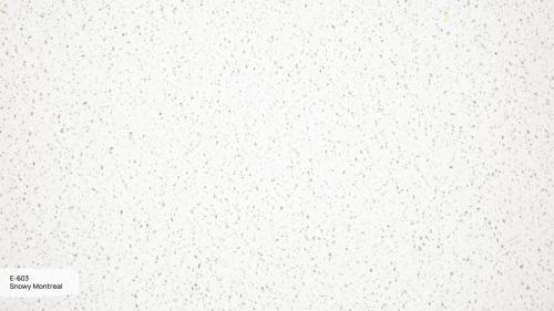 E-603 Snowy Grandex Blizko